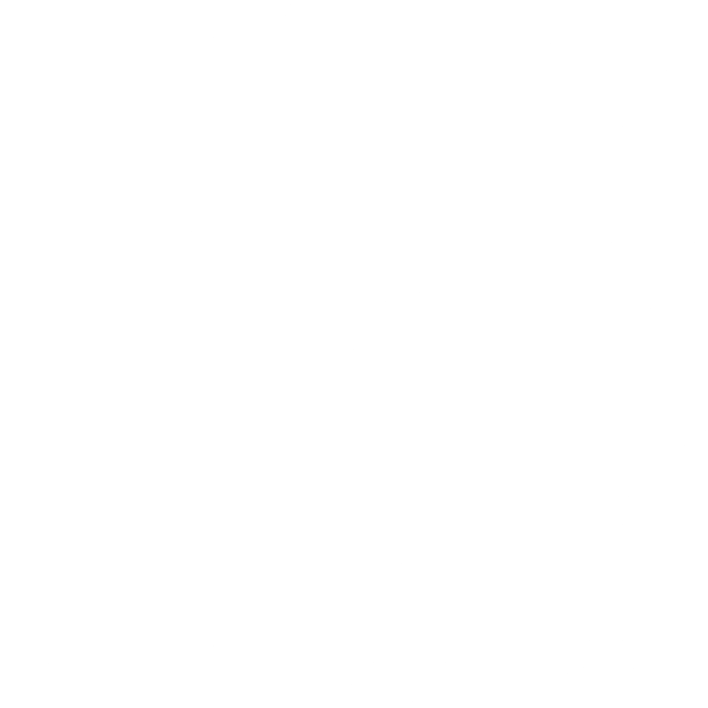 Visa card icon